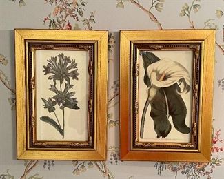 2 floral prints with gold frames by T Curtis