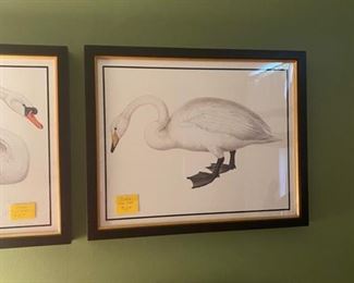 Second Swan Print