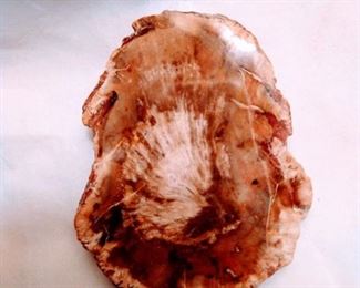 Western petrified wood might be found,