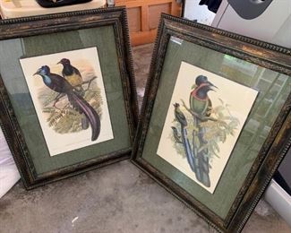 bird artwork $25 each