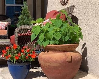 $18- Small cobalt pot with pink flowering plants $38- large terra cotta pot