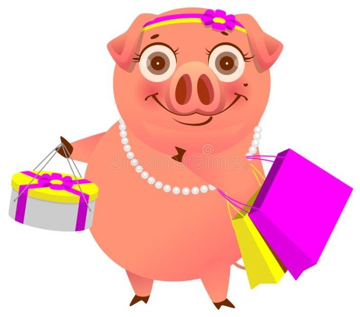 shopping pig