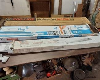 Fluorescent light and bulbs