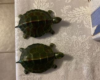 Boy and girl turtle 
