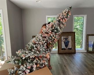 Beautiful! Slim Flocked 9’ Downswept Bethlehem Multi-Colored Lights Christmas Tree 
Used One Season
$150