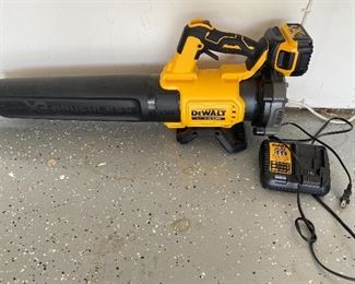 Dewalt Cordless Blower
$75.00