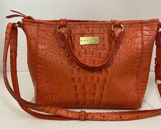 Brahmin Bag
$150
