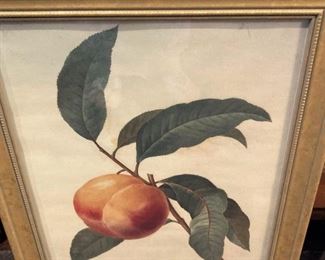 Framed art