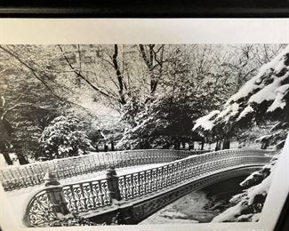 New York's Central Park - winter scene (The Metropolitan Museum of Art framed picture)