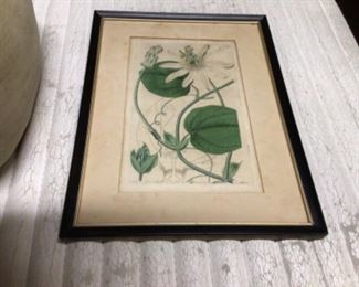 Antique hand colored engraving