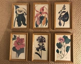 $250 - Framed Vintage Floral Prints, Set Of 10 - These four wall hangings add color and beauty to any room. This set of vintage florals are detailed and feature four different flower types. The gold frame adds a touch of class to these like new prints. Wall hangers are included on the back of each print. (see next photo for remaining framed flowers in set)