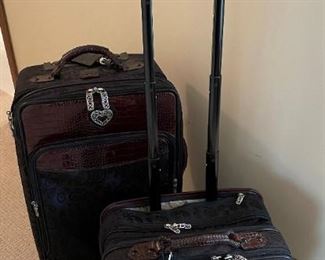 Brighton luggage