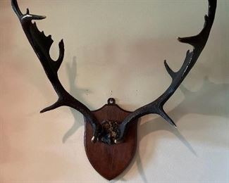 Antlers