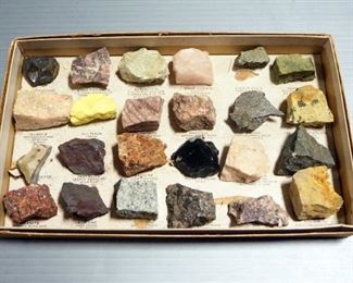 Rock And Mineral Collection On Identification Board
