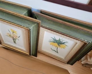 Set of 4 floral prints - Restoration Hardware - each is 19" x 22"