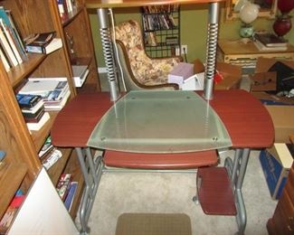 Computer Desk and Fica Tree