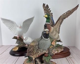 HomCo Birds Duck Quail Doves