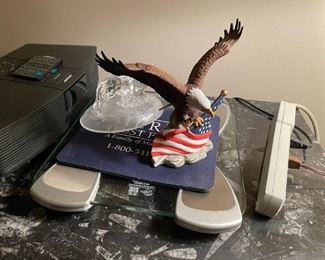 . . . and a patriotic eagle
