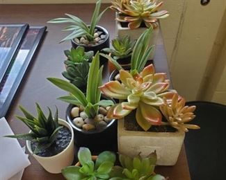 Faux Succulent Plants