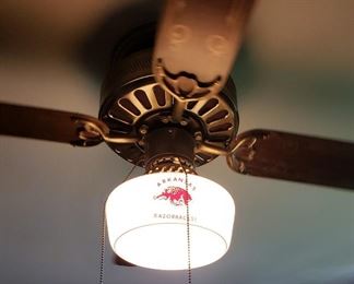 Razorback ceiling fan