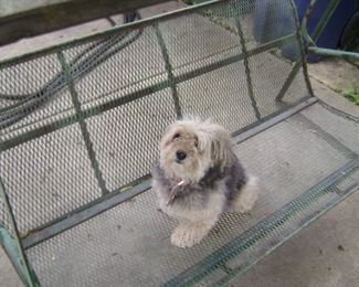1950'S METAL IRON SWING WITH METAL ATTACHED CANOPY
