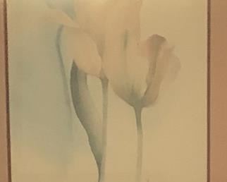 Oscar Tejeda watercolor prints (2)