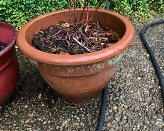 Pot $12.50