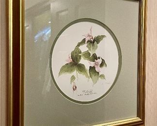 Item 59:  (2) Watercolors Signed L. Noble --Lyn Noble is an established Canadian Botanical Artist who paints primarily North American wildflowers - 14" x 14": $165/Each