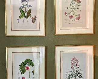 Item 114:  (4) Botanical Prints - 16.25" x 20.25":  $75/Each (LAVENDER ONE SOLD)