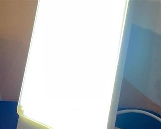 Item 312:  North Light Technologies Light (H4S1P7):  $75