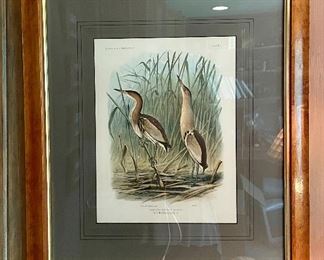 Item 334:  (2) Bird Prints (Plate 25 & Plate 30) - 19.5" x 21.75":  $225 for pair