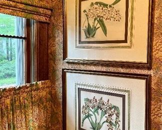 Item 378:  (2) Botanical Prints:  $225 for both