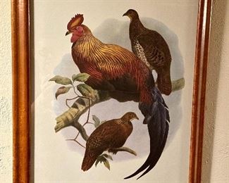 Item 506:  Rooster Print (3 birds) - 19.75" x 24.5":  $135