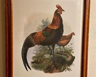 Item 507:  Rooster Print - 19.75" x 24.5":  $135