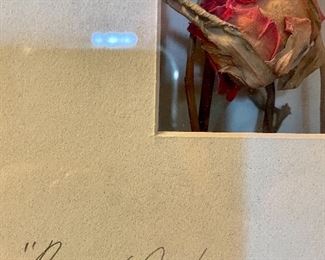 detail - Roses de Compagne