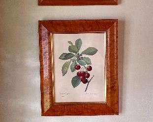 Item 528:  (3) Beautifully Framed Fruit Prints - 10" x 12.25":  $65 ea