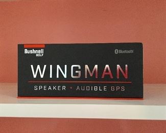 Wingman Speaker/Audible GPS
