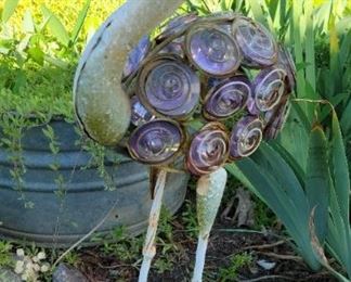 Bird of a different color