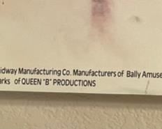 1989 Elvira Pinball Poster 22x17in