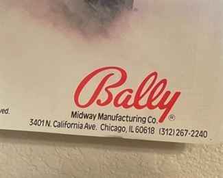 1989 Elvira Pinball Poster 22x17in