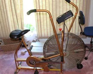 Schwinn Airdyne Exercise Bike 