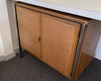 Cabinet w Wicker Paneling