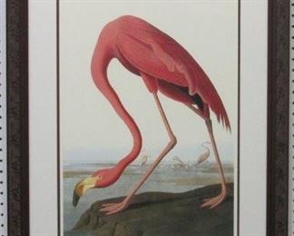 9020 - American Flamingo by John J. Audubon 26 x 36
