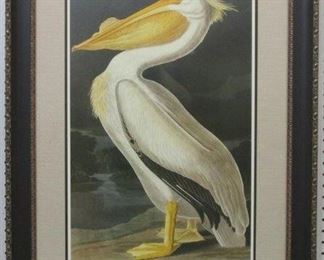 9022 - White Pelican by John J. Audubon 27 x 37
