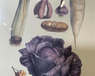 Vilmorin-Andrieux & Co Vegetal Offset Lithograph
