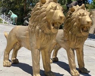 Bronze lions statues 