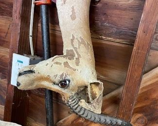 Authentic African Gazelle