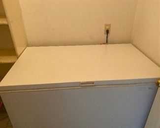 Stand alone deep freezer