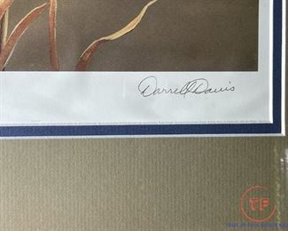 Signed DUCKS UNLIMITED Print "Morning Sun" By DARRELL DAVIS