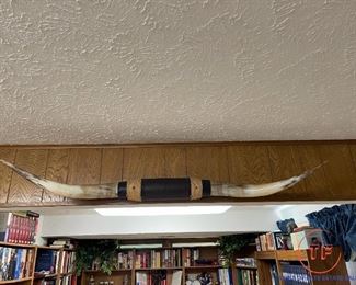 4' 4" Long Mounted Bull Horns